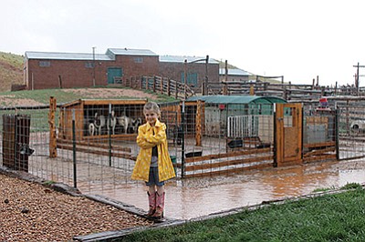 Lauren Westlake braves the rain while tending her 4-H animals at the family’s home on the Babbitt Ranch north of Valle. Lauren and her sisters are homeschooled on their remote ranch. Wendy Howell/WGCN