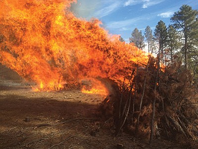 Flames bursts from the pile burning on the Tusayan Ranger District. These managed fires improve forest health and enhance wildlife habitat while reducing the fuels to prevent catastrophic wildfires. Photo/Brandon Oberhardt, U.S. Forest Service, Kaibab National Forest