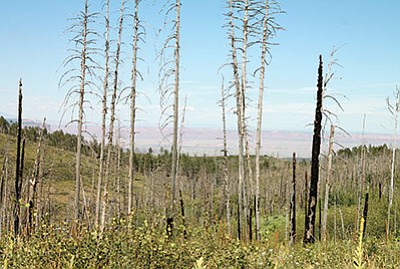 U.S. Congressman Paul A. Gosar, (R-Prescott) and Rep. Chris Stewart (R-Utah) released a statement after the House Appropriations Committee passed the Gosar-Stewart amendment saying the amendment is one step closer to blocking the proposed Grand Canyon Watershed and Sedona Monuments in Arizona and Bears Ears National Monument in Utah. Loretta Yerian/WGCN