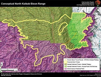 North Rim bison classified as native wildlife, NPS seeking management ...