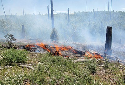 Active burning in dead and down forest litter (fuel)at the Fuller Fire on the North Rim of Grand Canyon National Park. Photo/NPS