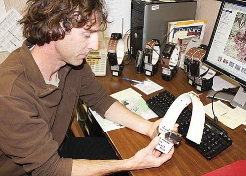 <br>Patrick Whitehurst/WGCN<br>
Wildlife biologist Brandon Holton holds a tracking collar he uses on mountain lions in and around Grand Canyon National Park.