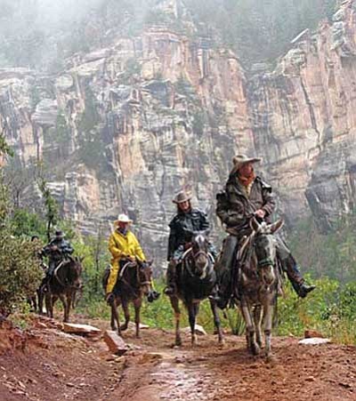 Mike Quinn/Nationall Park Service<br>
A guided mule ride on the North Rim.