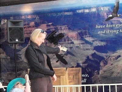Brandon Garibay/WGCN</br><br /><br /><!-- 1upcrlf2 -->Bart the raven collects a dollar from Grand Canyon Chamber Board Member Freda Rahnenfuehrer. The money Bart collects goes towards the Condor Cliffs Peregrine Fund.