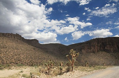 The road to Grand Canyon West, shown here in a July 2010 photo, winds through iconic southwestern landscapes.<BR>JC AMBERLYN/Miner
