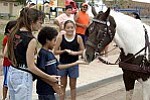 <b>Leilani Cochran helps Donovan Smith, 10, feed Gypsy, one of two horses providing carriage rides at the event (right). Hailey Nezzie, 11, waits her turn. </b>