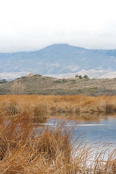 <i>Lisa Viotti/NHO</i><br>
The ruins at Tuzigoot National Monument can be seen in the distance from Tavasci Marsh. Beyond the ruins lies the Mingus Mountain range.