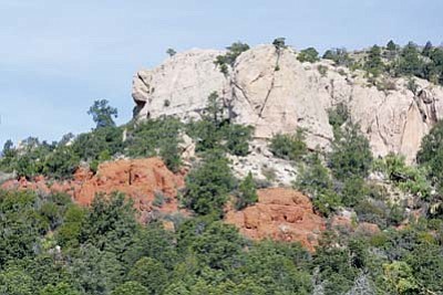 The bright colors of plants and rocks highlight much of the scenic views along Saddle Mountain Trail 91.