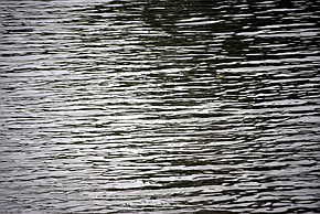 Photo detail