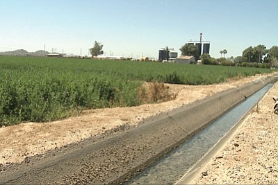An irrigation ditch carries water at A Tumbling-T Ranches in Goodyear. Photo/Brittni Thomason