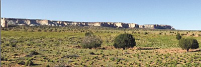 White Mesa with its famous arch is an iconic symbol of Tonalea Chapter. Tonalea Chapter members are documenting the stories of elders in the community. Photo/George Hardeen