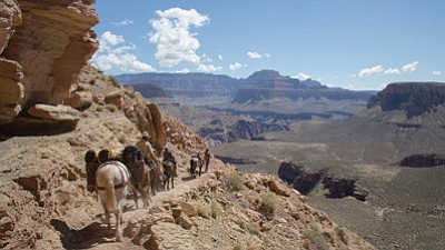 Four friends and their string of Mustangs descend 4,700 feet into the Grand Canyon during their Mexico to Canada ride.  Photo/courtesy of Unbranded and Ben Masters