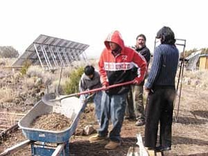 S.J. Wilson/Observer
Brandon Montour and Murphy Luther work with composted soil, Justin Willie explains the process to Olga Kerzina.