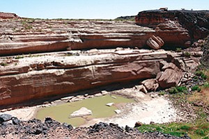 The face of the falls, now dry. Below lie large tree trunks, seemingly dwarved from the height of the opposite ledge (Photo by Kate Sorensen).