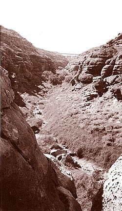 Photo detail