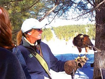 Susan Ruble, a state and federally licensed master falconer and wildlife rehabilitator, stands with Beau, a mature male Harris hawk during a "hawk walk" held at the Flagstaff Arboretum Feb. 7 (Photo by Wells Mahkee Jr./NHO).