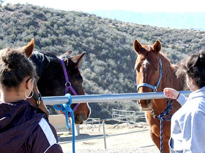 Mingus Mountain Academy sits in the foothills off Highway 89A where it has plenty of space for equine therapy as well as a high school and residential treatment program for girls.<br>
TribPhoto/Sue Tone