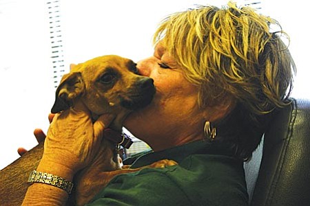 VVN/Philip Wright
Verde Valley Humane Society director Cyndi Sessoms gives Gracie some reassurance that everything will work out. Gracie is a frequent visitor to Sessoms' small office.