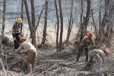 An agreement signed this week between the Verde Watershed Restoration Coalition, a group fighting invasive plants, and Vetraplex, a veterans support organization, will provide 22 weeks employment plus valuable training.<br /><br /><!-- 1upcrlf2 -->
