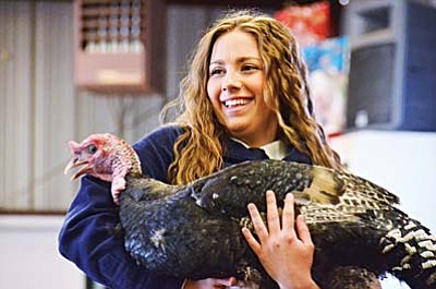 The Verde Valley Fair Jr. Livestock Auction is a major achievement for area FFA students, like Cheyenne Dawson (above) with her Grand Champion Turkey.