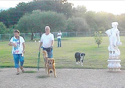A shade structure will be constructed at Cottonwood's dog park with money remaining from the 2009 fund-raising effort.