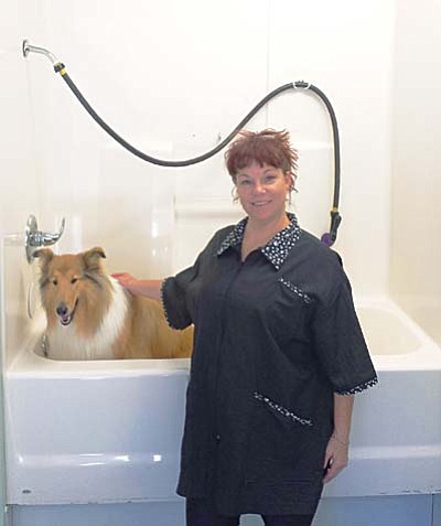 Renee Claybon is certified from the Dog Grooming Academy in Mt. Clemens, Mich., and has been grooming for eight years.