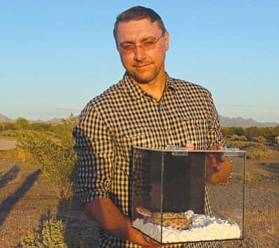 Bryan Hughes, owner of Rattlesnake Solutions said the Western Diamondback Rattlesnake is the most common species of rattlesnake found in Arizona. (Cronkite News Photo by Kelcie Grega)