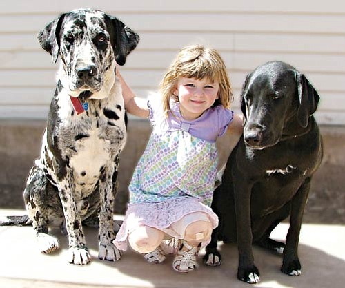 <br>Photo Kathy Grumbine<br>
Neela Grumbine and her dogs Flash (black and white) and Shadow (black) will attend the WAAG vaccination clinic at the Williams Rodeo Barn on Saturday.