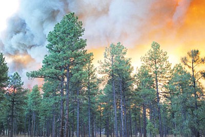 Photo/Kaibab National Forest<br>

The Eagle Rock Fire located on the Williams Ranger District has been declared 70 percent contained. Crews were since allocated to fires in the Flagstaff area.