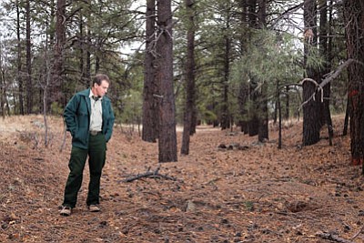 South Kaibab Zone Archaeologist Neil Weintraub looks at the remains of an abandoned rail spur in Williams. Ryan Williams/WGCN
