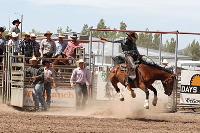 A cowboy rides a bronc during the 2013 Cowpunchers Reunion Rodeo at the Williams Rodeo Grounds. Ryan Williams/WGCN