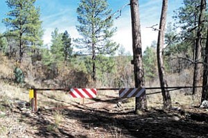 This land is located on the Yavapai Ranch ‹ approximately 20 miles south of Seligman. Ownership of the Yavapai Ranch land is currently checkerboarded between ranch owners and the Forest Service, but that will soon change with the passage of the land exchange.