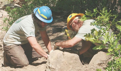 Sean Murphy/Kaibab National Forest
<b>Participants in the Kaibab National Forest’s second annual National Trails Day event help improve the popular Bill Williams Mountain Trail.</b>