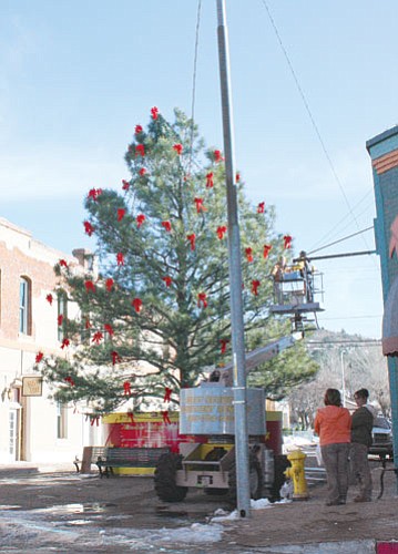 <br>Patrick Whitehurst/WGCN<br>
Williams Chamber of Commerce Events Coordinator Sue Atkinson looks on as Jim Winbourn and crew hang bows on the Community Christmas tree.