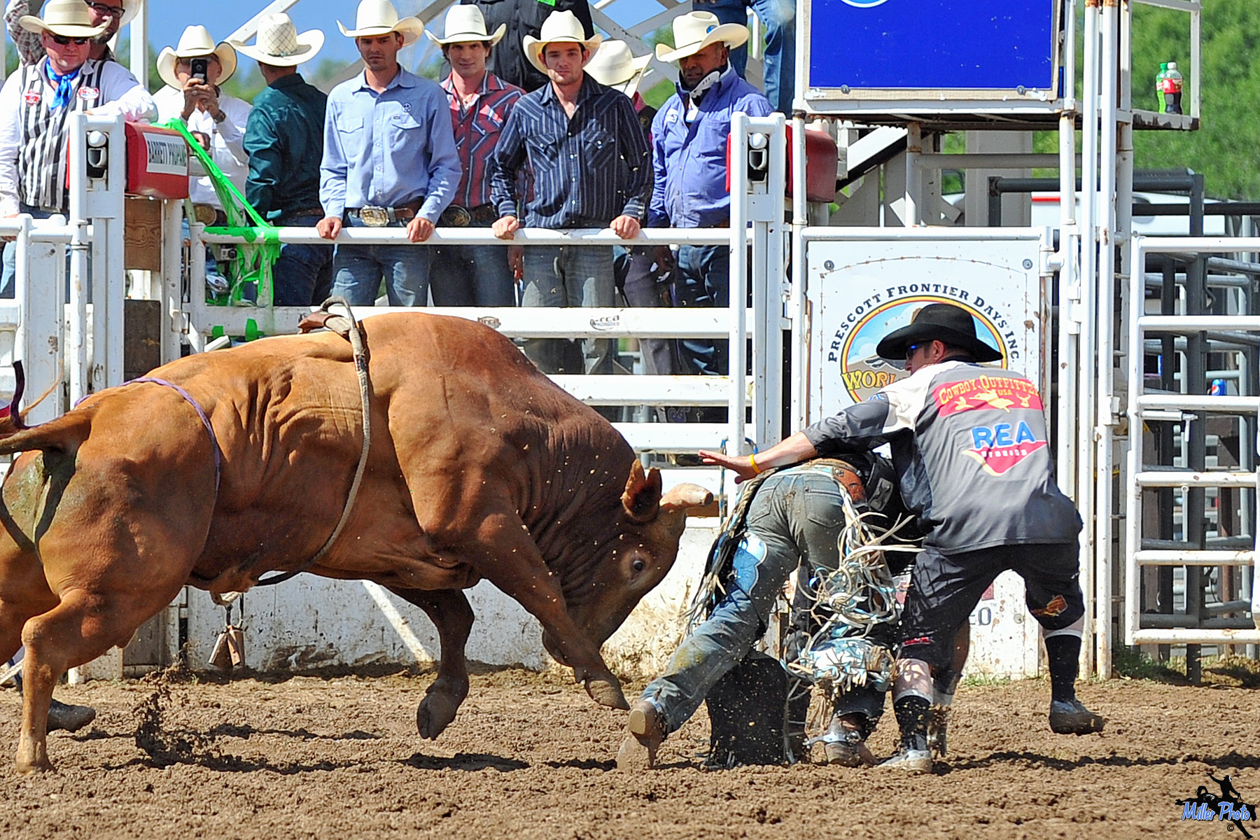 Annual Prescott Frontier Days Rodeo set for June The Daily Courier