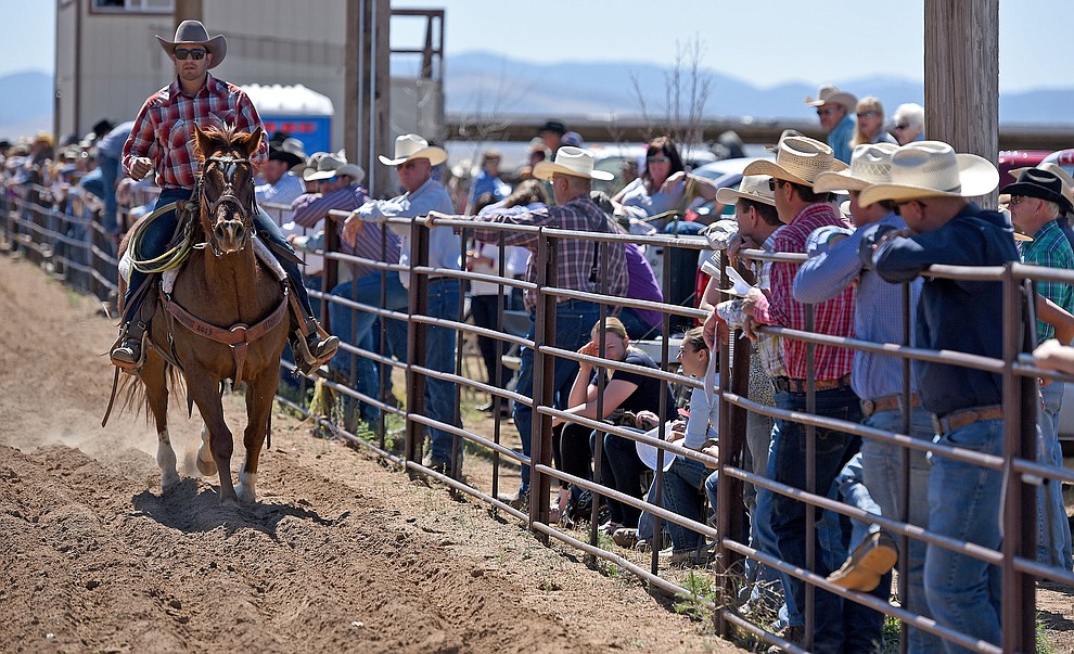 Roberto Estrada of Prescott works a horse for potential buyers to observe Friday afternoon March 18, 2016 during the first day of the 25th Annual Cattleman's Weekend at the Prescott Livestock Auction in Chino Valley. (Matt Hinshaw/The Daily Courier)