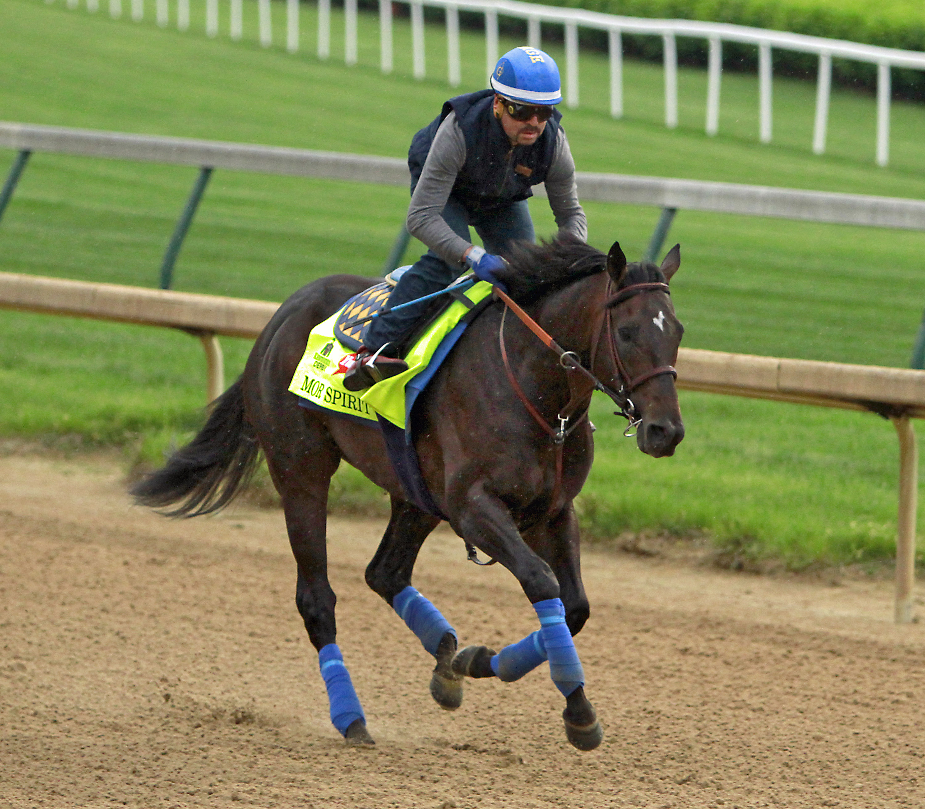 Kentucky Derby Horses to Watch Mor Spirit The Daily Courier
