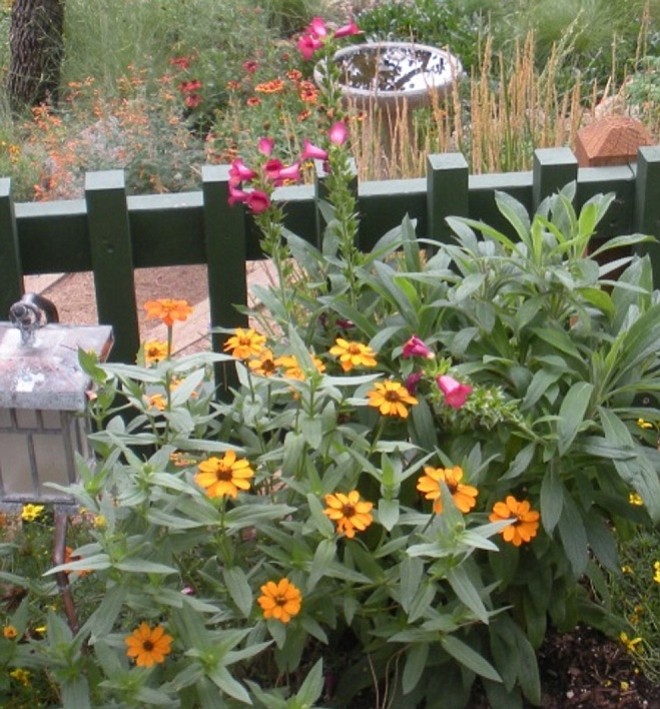 Photo detail