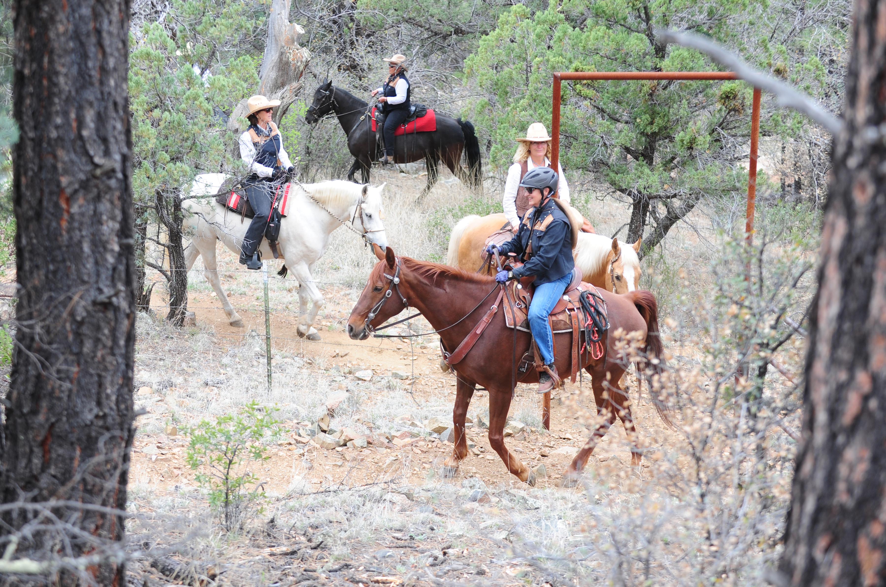 Horseback Riding, Salida Gulch Trail The Daily Courier Prescott, AZ