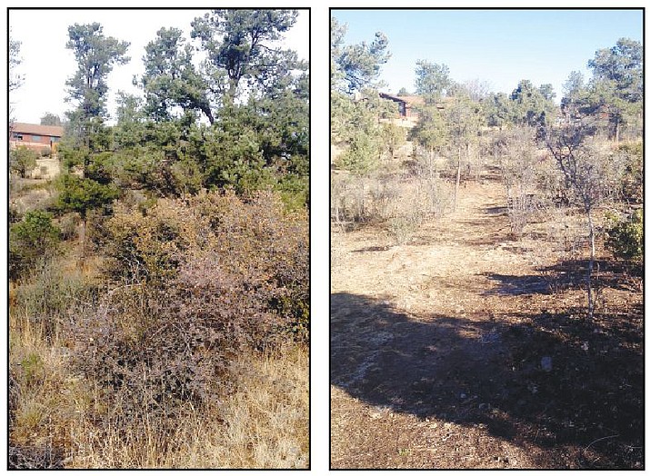 Jim Buchanan worked to clear the land between him and his neighbor of hazardous fuel. The photo on the left is before the work.