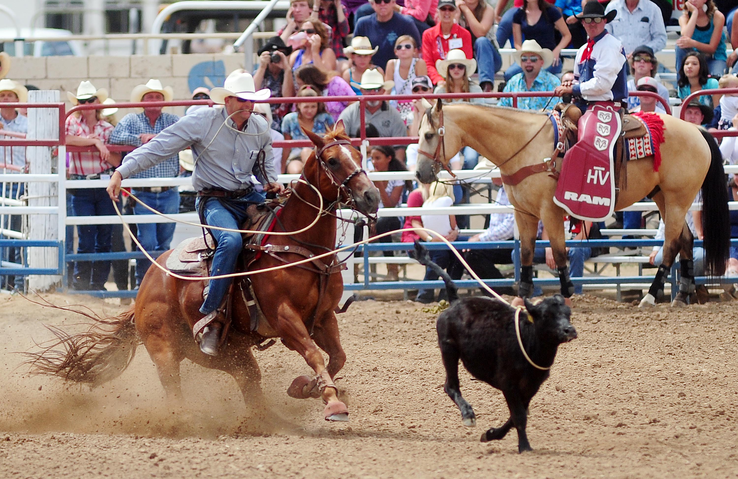 'World's Oldest Rodeo' timed events loaded with worldranked contestants The Daily Courier