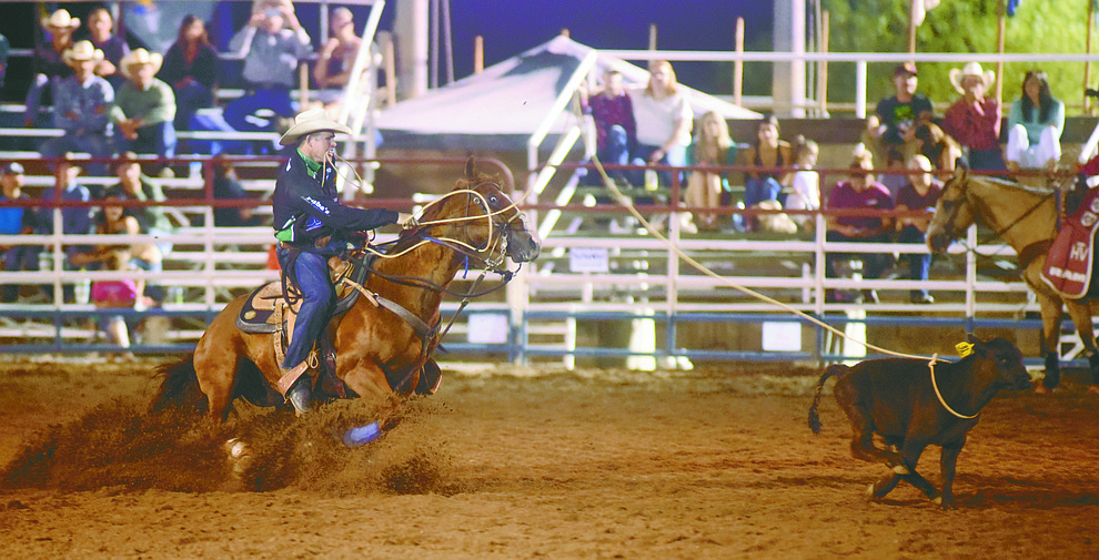 Josh Peek from Pueblo, Colo. competes in the tie Down Roping during the first round of the Prescott Frontier Days Rodeo Tuesday night. (Les Stukenberg/The Daily Courier)