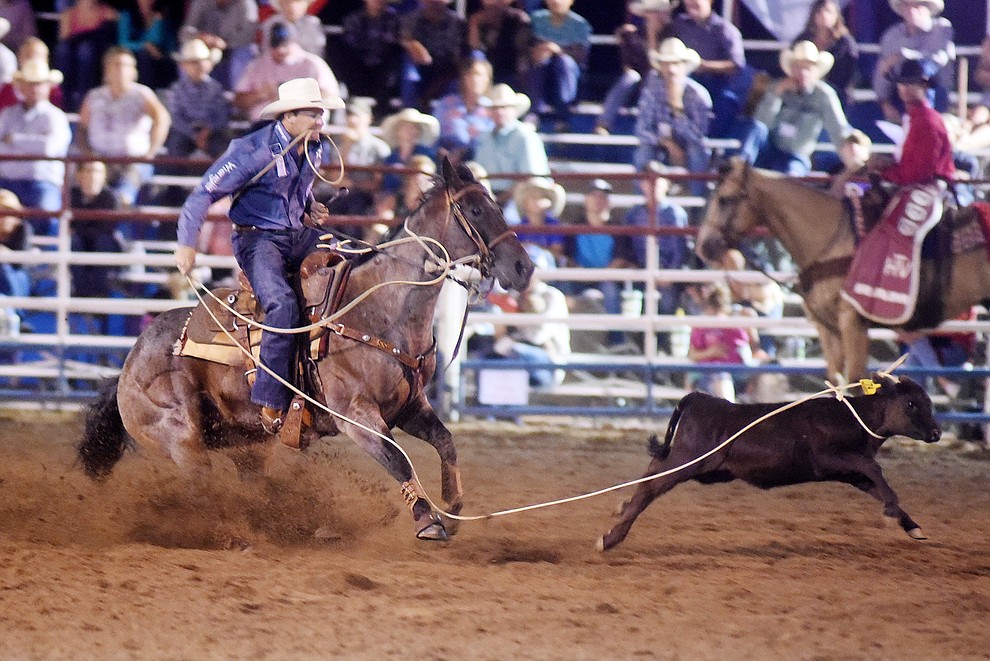 Sterling Smith ran a 10.1 in the Tie Down Roping during the first round of the Prescott Frontier Days Rodeo Tuesday night. (Les Stukenberg/The Daily Courier)