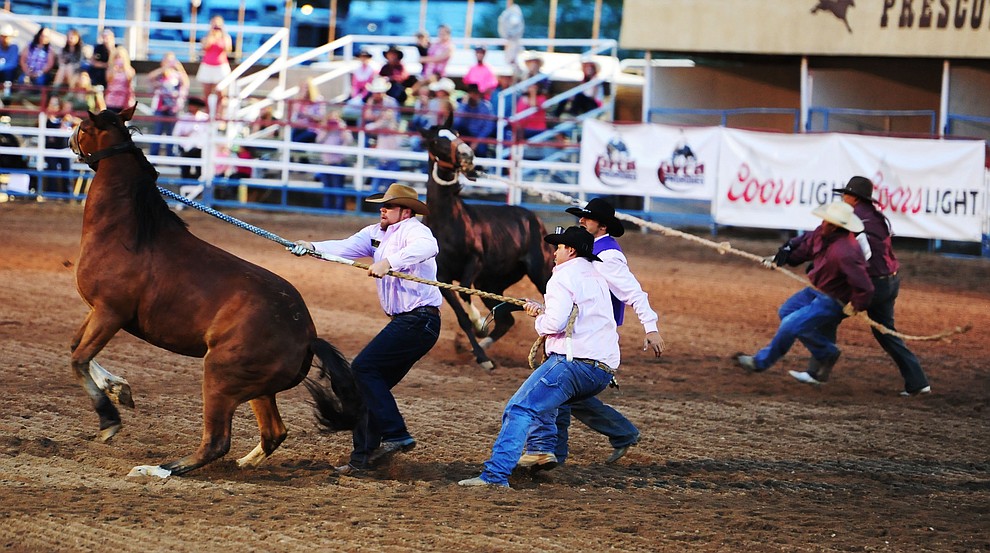 Trying to get a wild horse saddled and rode during the second round of the Prescott Frontier Days Rodeo Wednesday night. (Les Stukenberg/The Daily Courier)