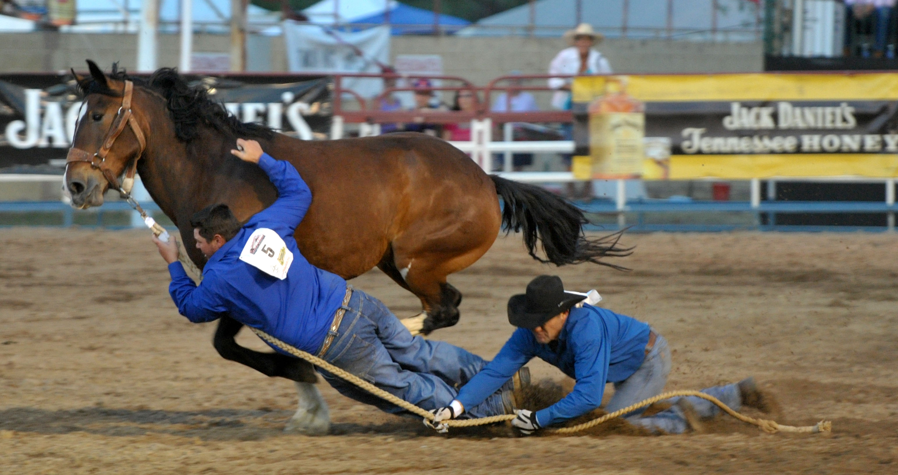 Wild Horse Race gets each rodeo performance off to a rowdy start The