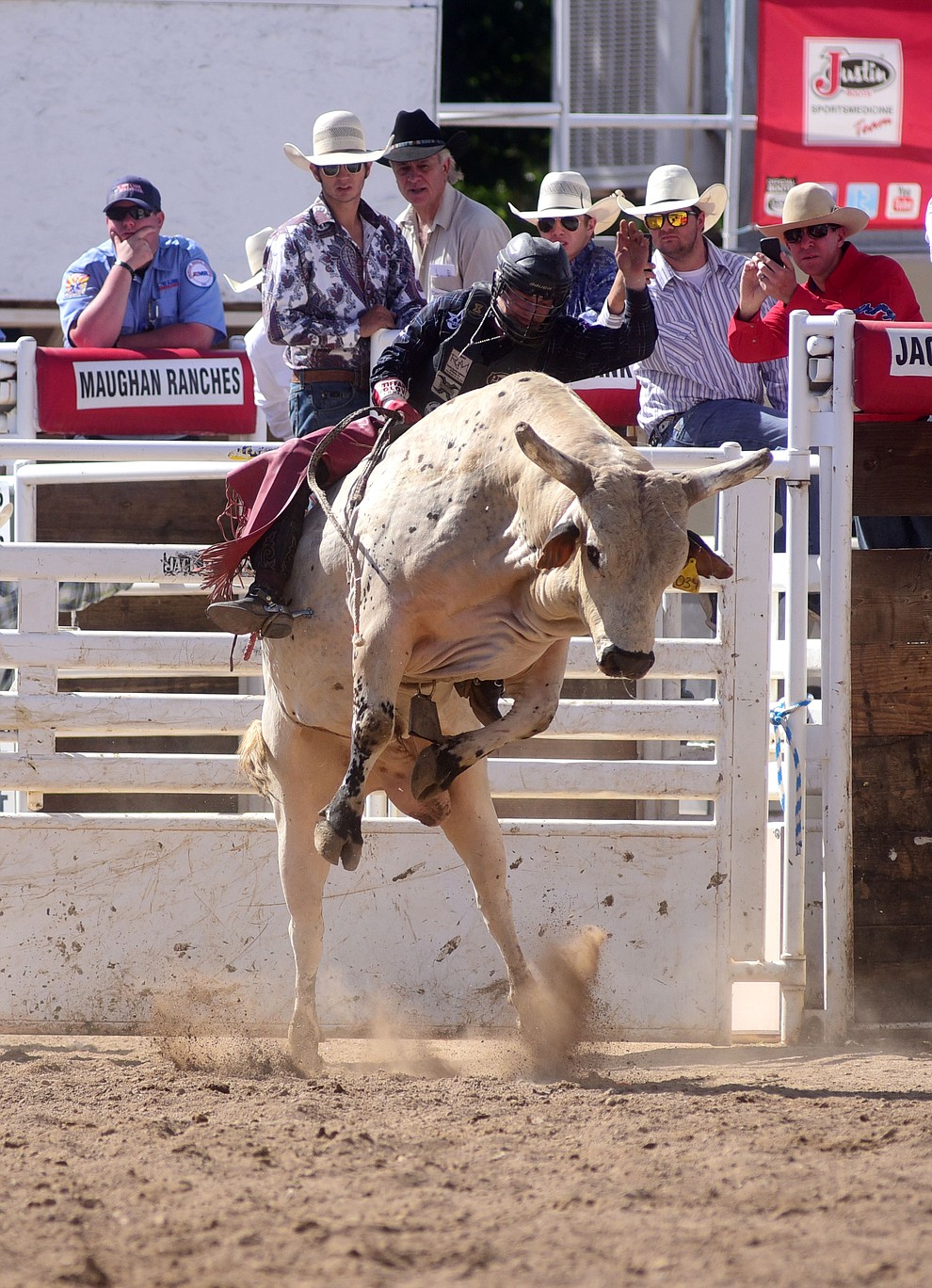 Brennon Eldred on Hello Dolly during the final performance of the 2016 Prescott Frontier Days Rodeo Monday afternoon. (Les Stukenberg/The Daily Courier)