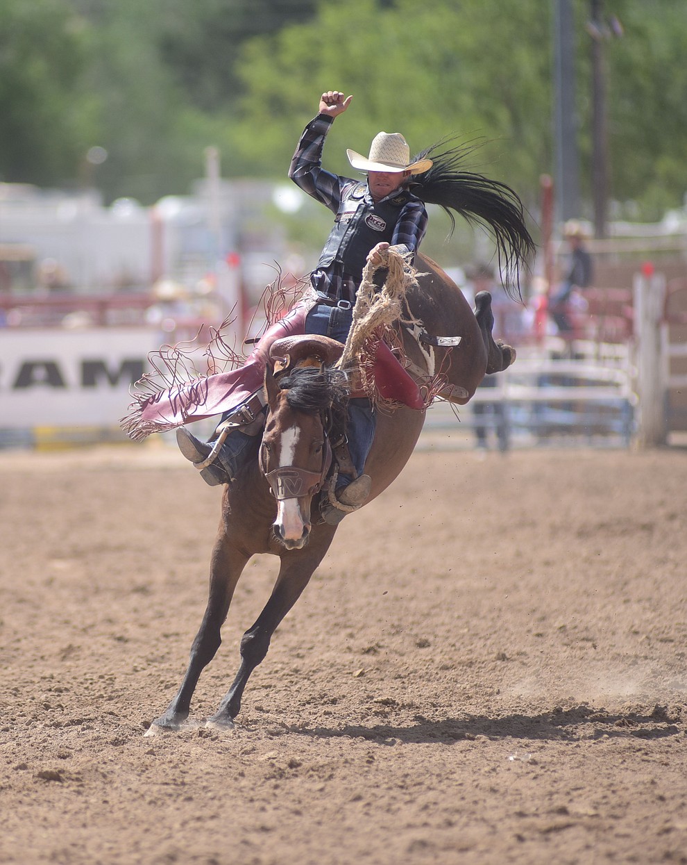 Cody Anthony on Shimmy Valley during the final performance of the 2016 Prescott Frontier Days Rodeo Monday afternoon. (Les Stukenberg/The Daily Courier)