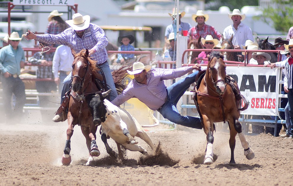 Damian Padilla has a 8.3 second run during the final performance of the 2016 Prescott Frontier Days Rodeo Monday afternoon. (Les Stukenberg/The Daily Courier)