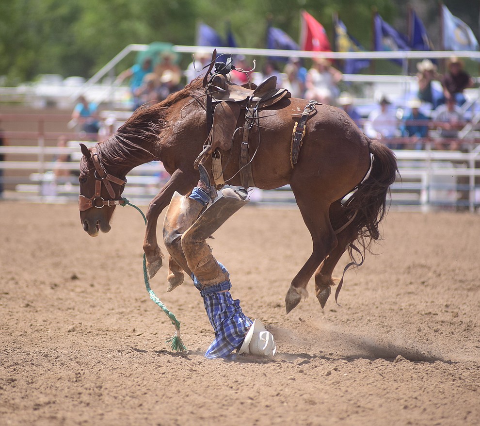 Huckleberry Sandsness lands hard in the ranch bronc riding during the final performance of the 2016 Prescott Frontier Days Rodeo Monday afternoon. (Les Stukenberg/The Daily Courier)
