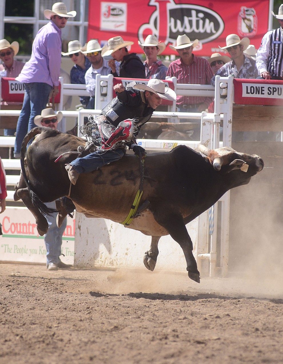 Steve Carter on Juicy Box during the final performance of the 2016 Prescott Frontier Days Rodeo Monday afternoon. (Les Stukenberg/The Daily Courier)